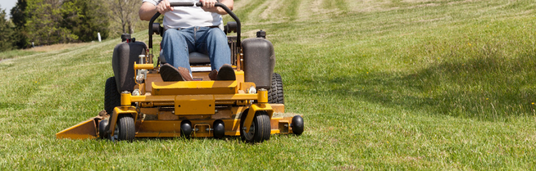 A Cut Above Lawn Services